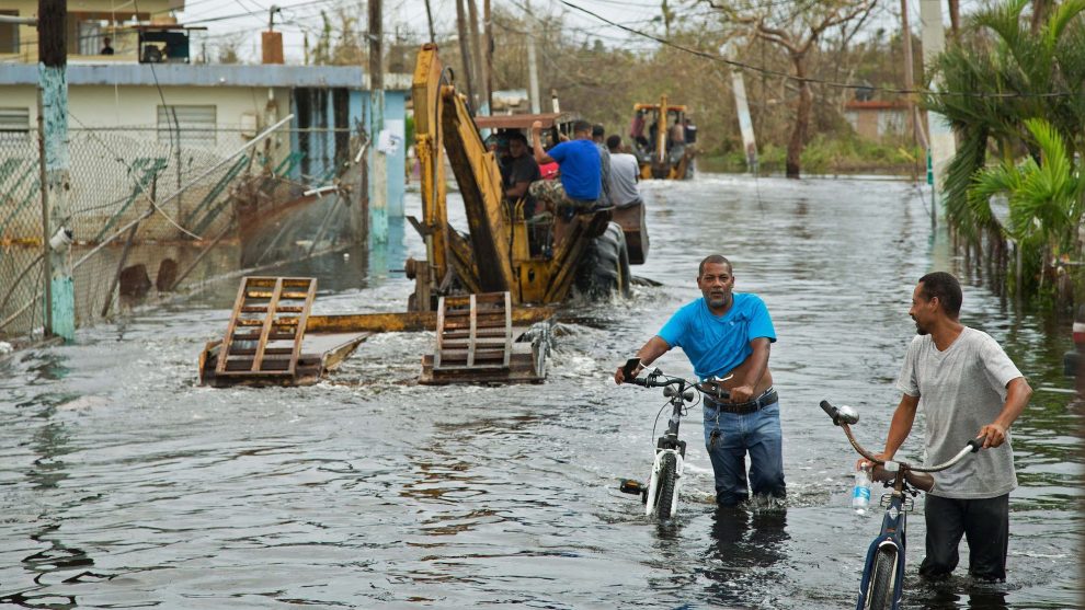 Stories from Hurricane Survivors